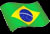 brazi-flag-electrapourl